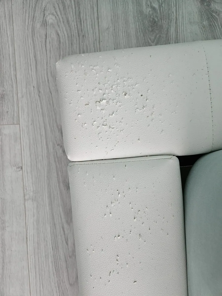 Furniture - Image 3