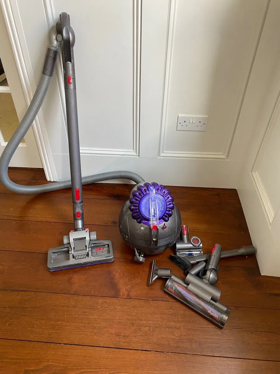 Dyson Big Ball Animal 2 hoover