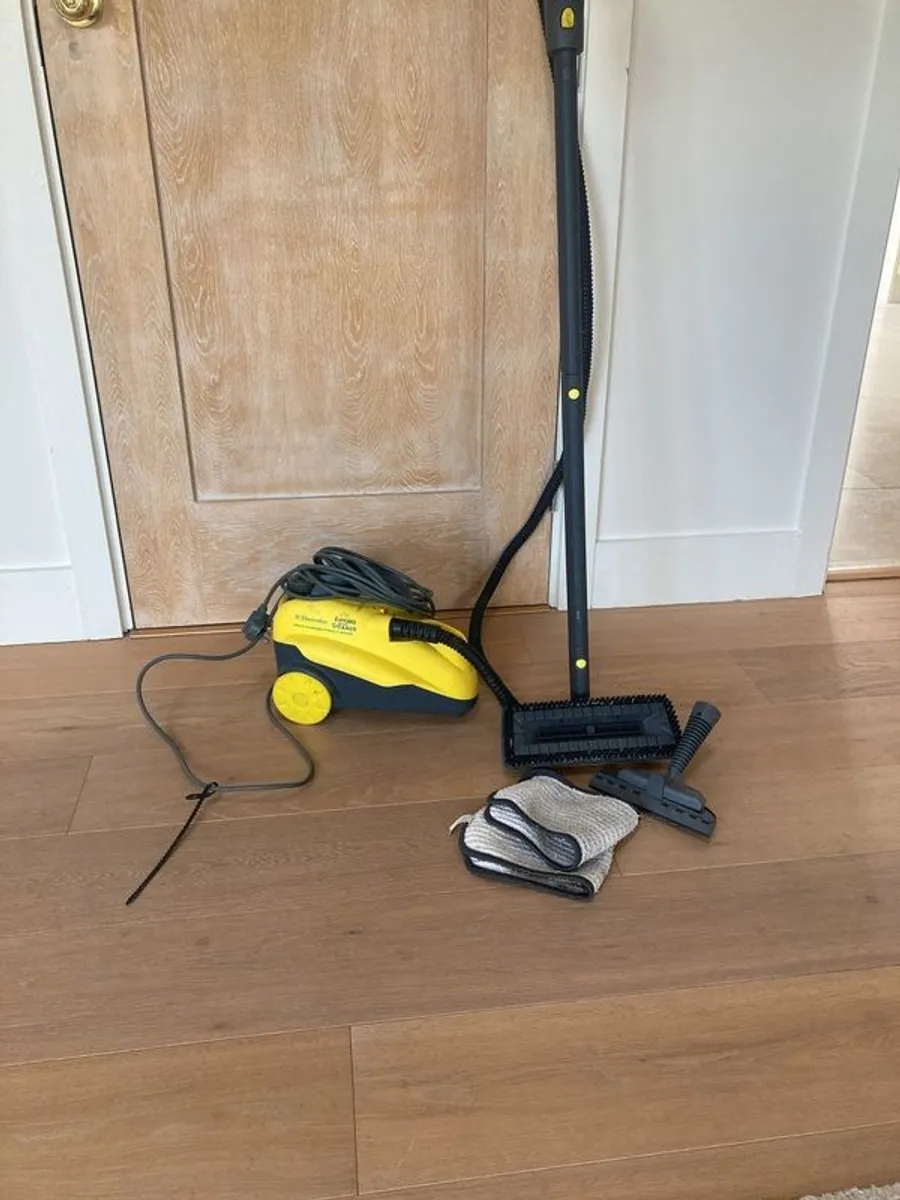 Electrolux Enviro steam cleaner - Image 2