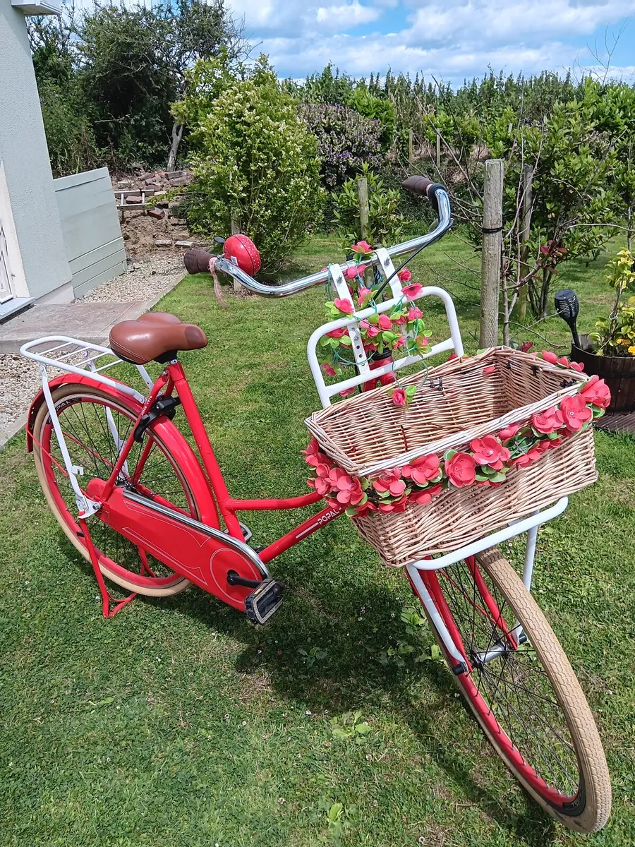 Bike for sale - Image 1