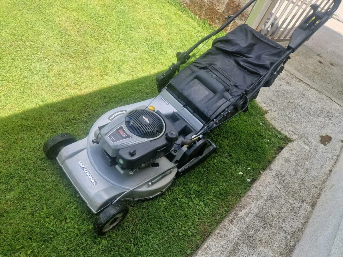 Roller lawnmower for sale - Image 2