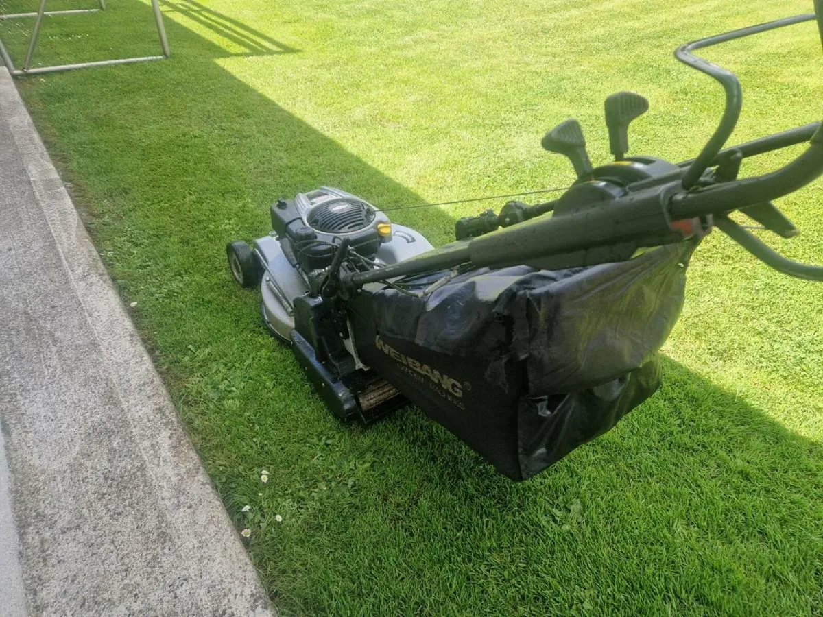 Roller lawnmower for sale - Image 4