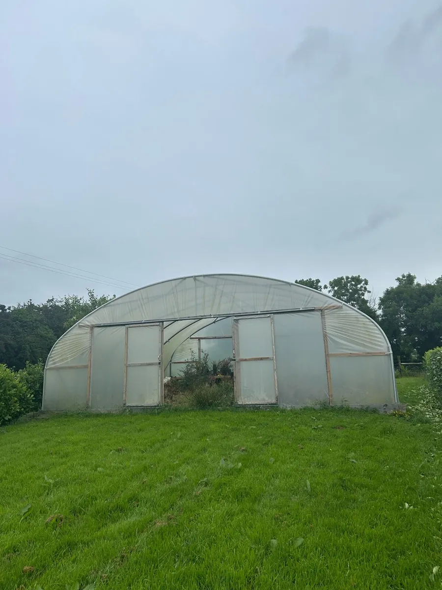Polytunnel - Image 1