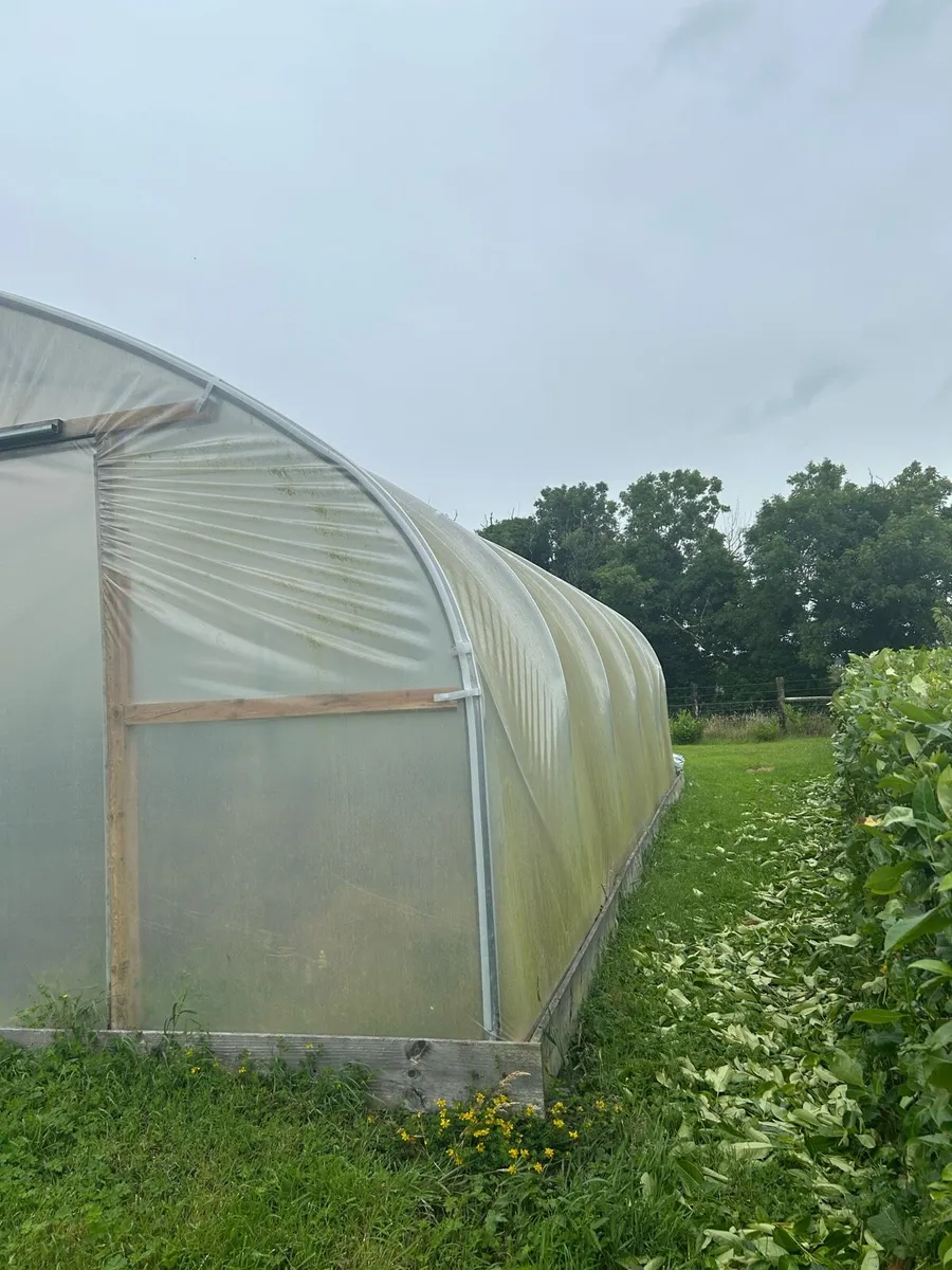 Polytunnel - Image 2