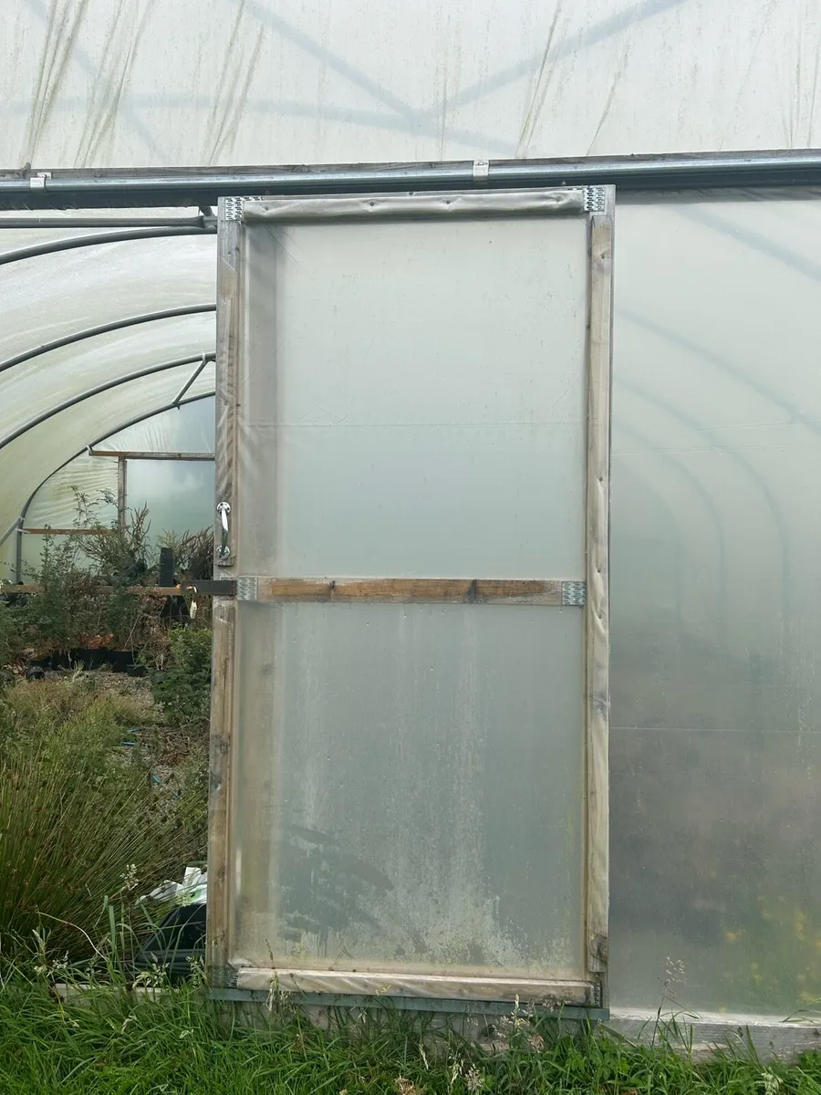 Polytunnel - Image 3