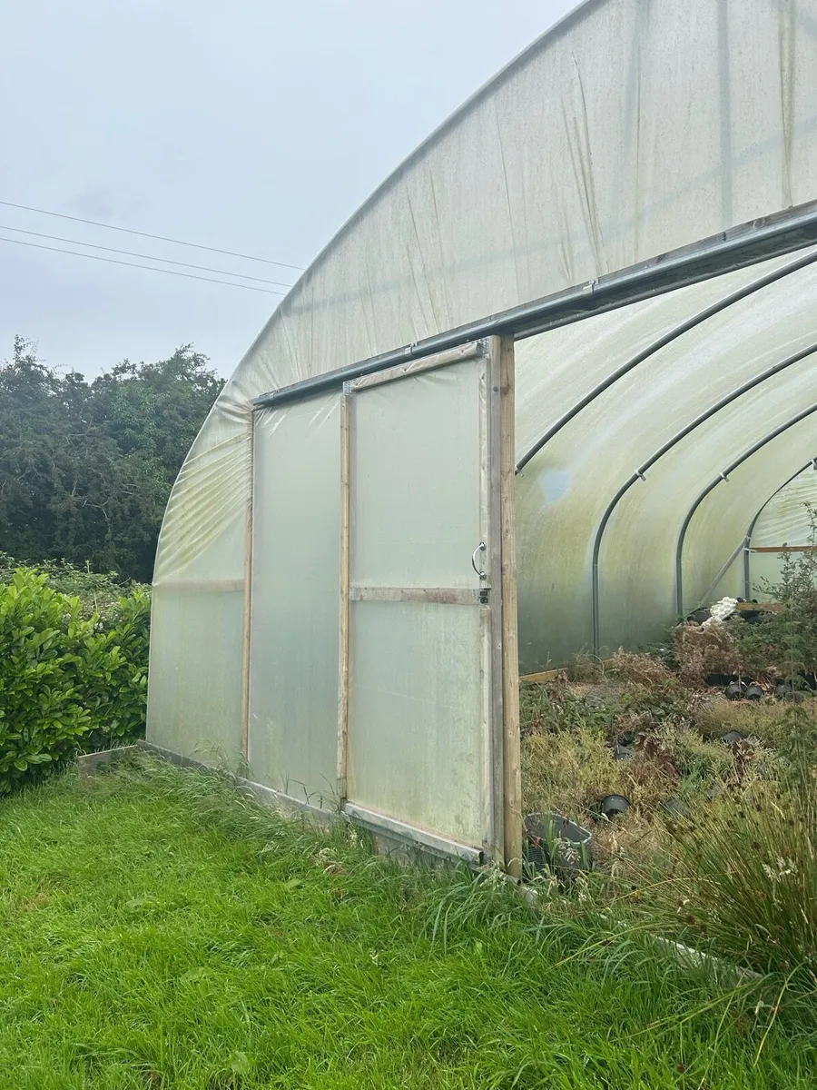 Polytunnel - Image 4