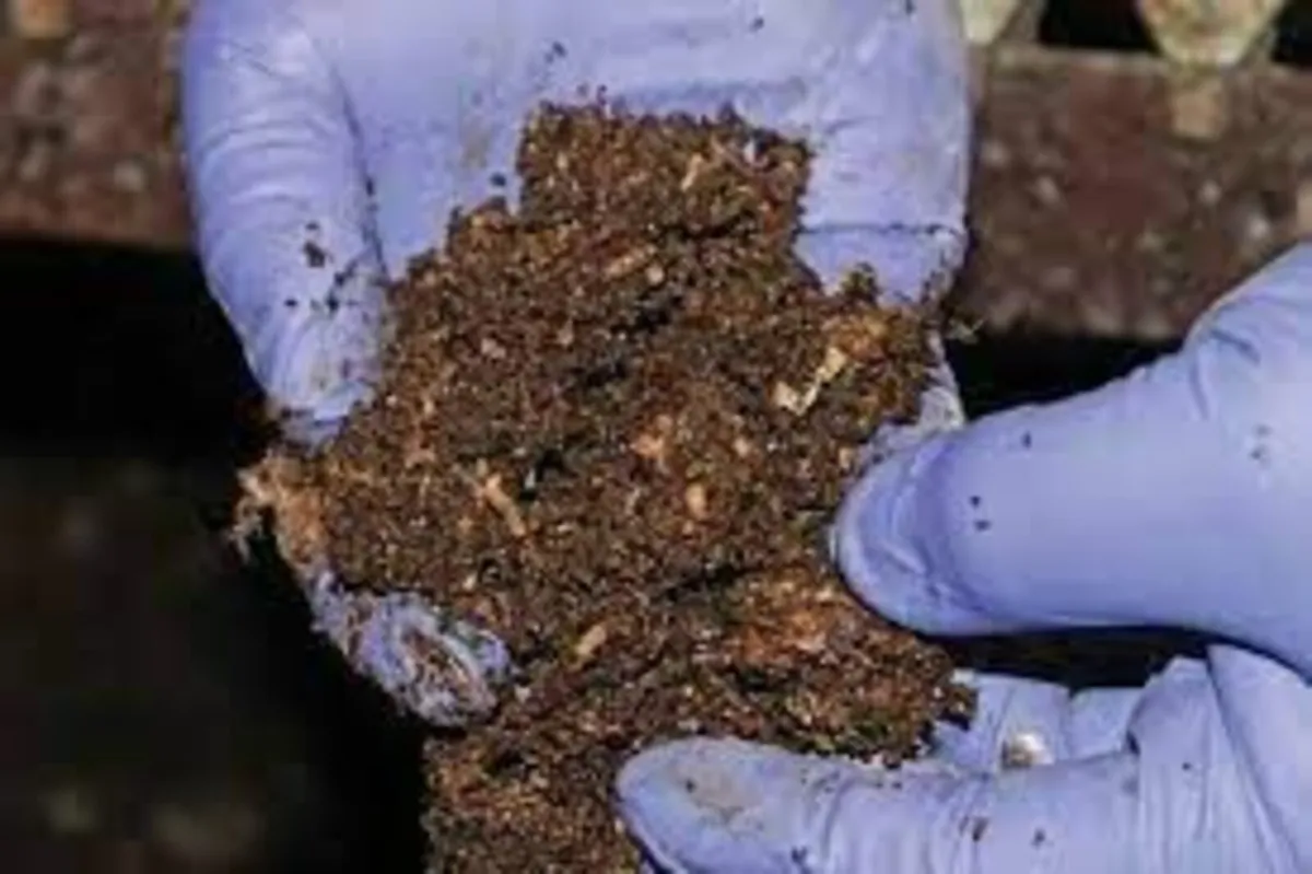 Twenty One Fly Control Wettable Powder (WP) 250g - Image 3
