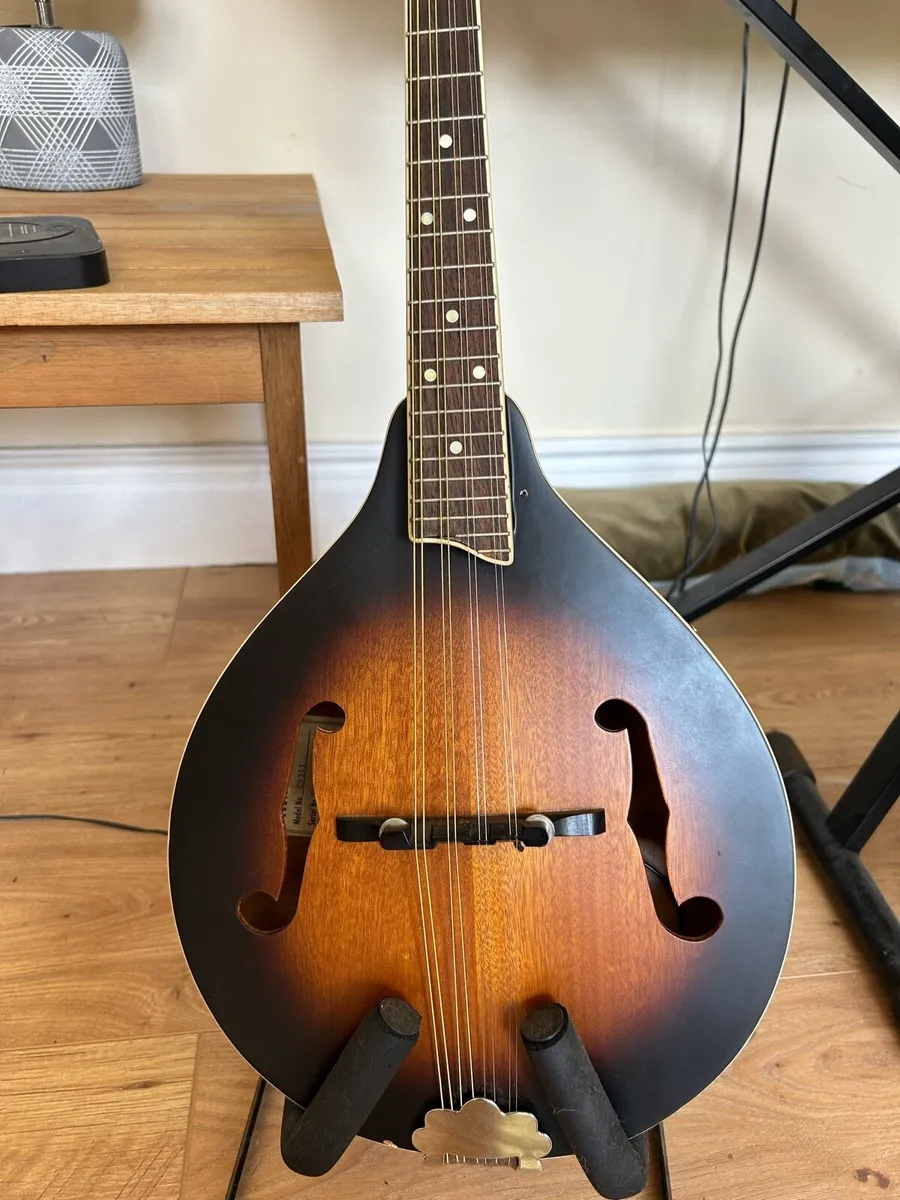 Mandolin - Image 1
