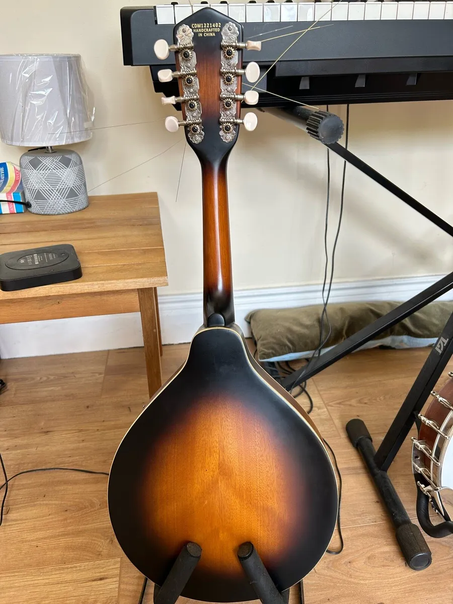 Mandolin - Image 3