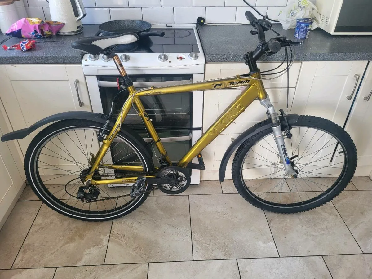 Mens mountain bike - Image 1