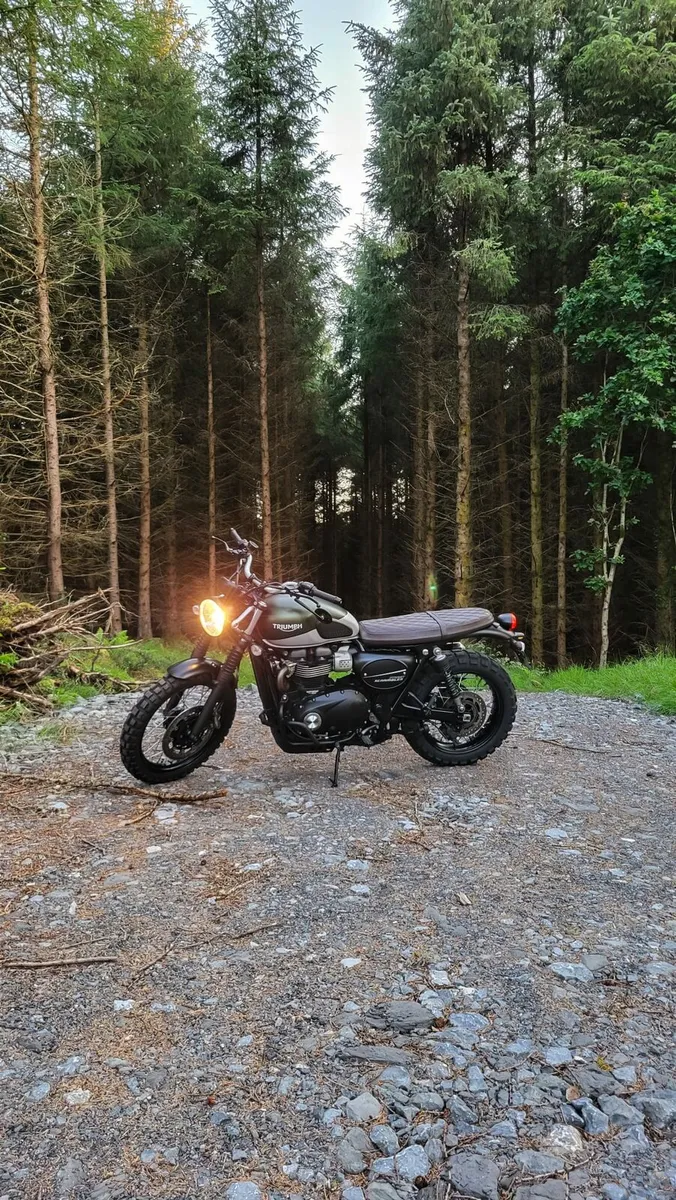 Triumph Street Scrambler - Image 1