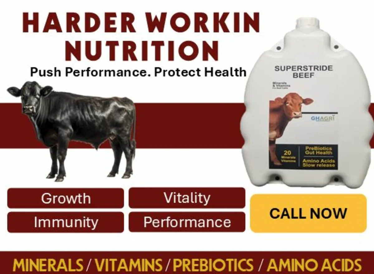 Mastitis Scc Program (No Withdrawals) - Image 2