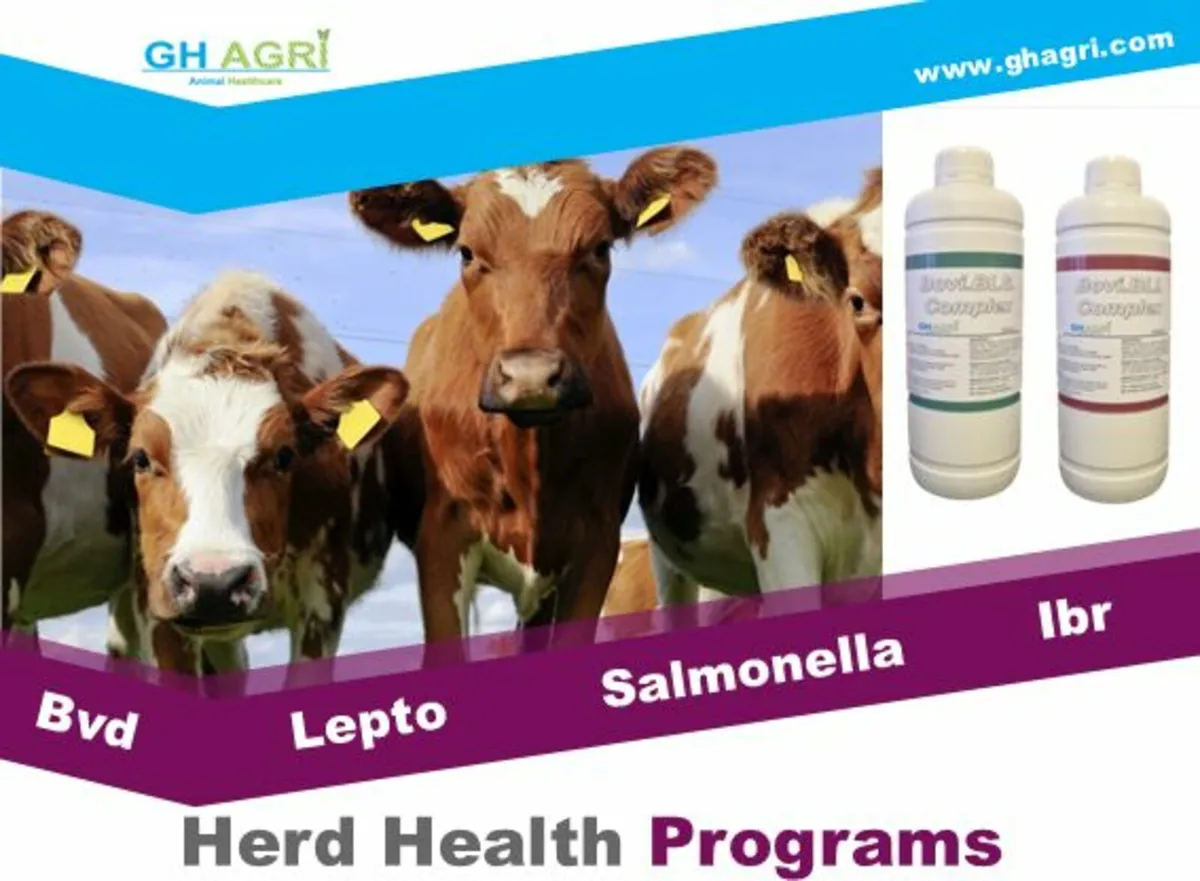 Mastitis Scc Program (No Withdrawals) - Image 3