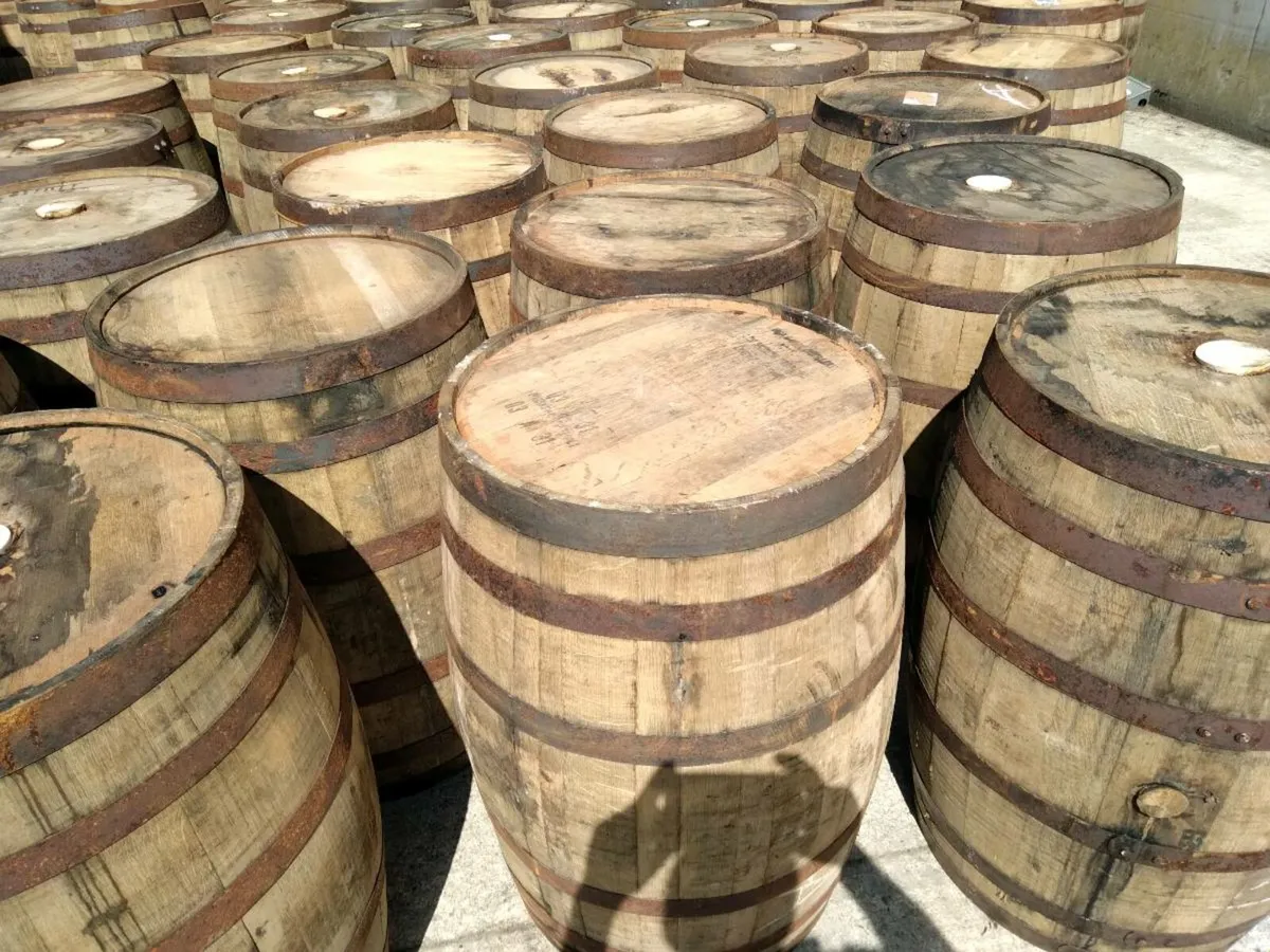 Oak barrels - Image 2
