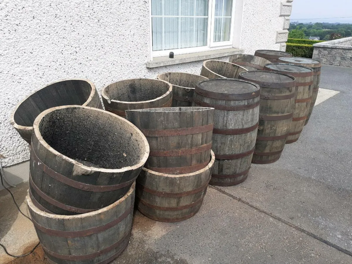 Oak barrels - Image 4