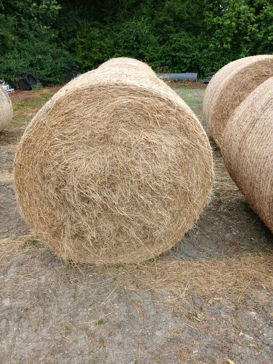 Organic Hay - No Fertilizer/Spray