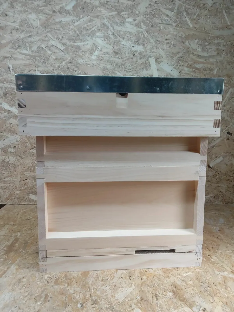 Bee Hives - 💥Nationwide Delivery💥 - Image 3