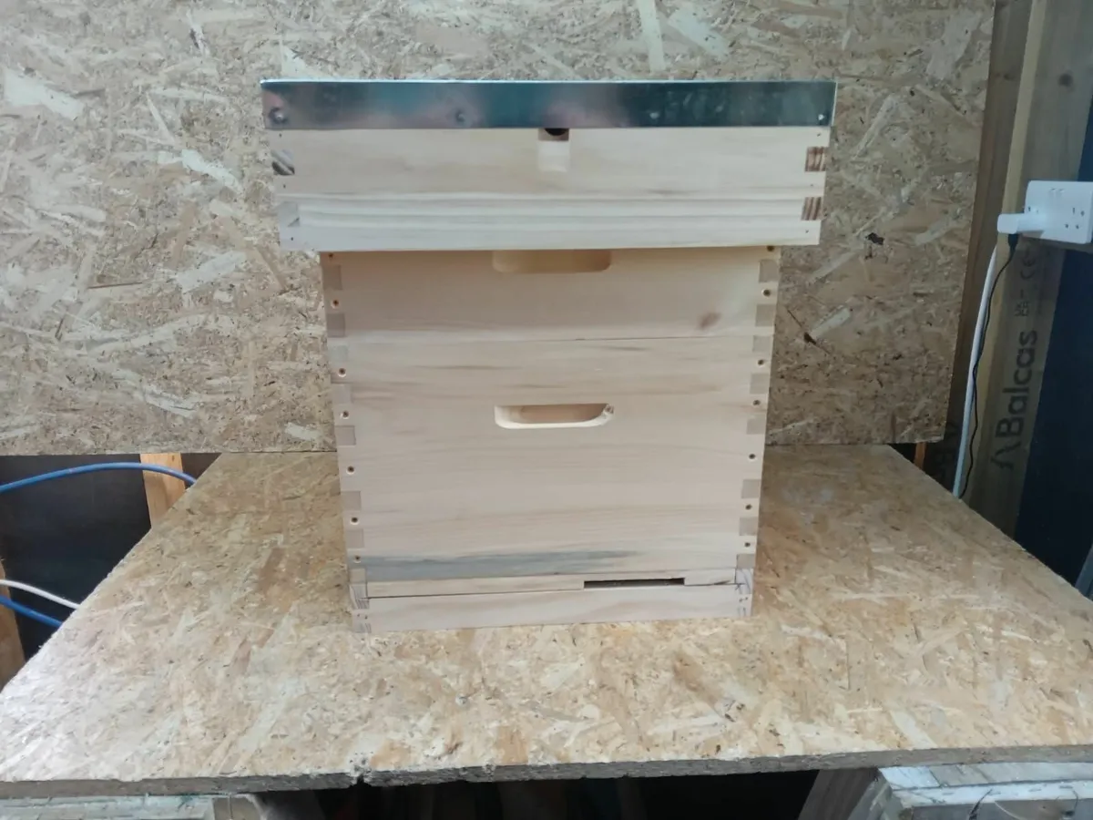 Bee Hives - 💥Nationwide Delivery💥 - Image 1