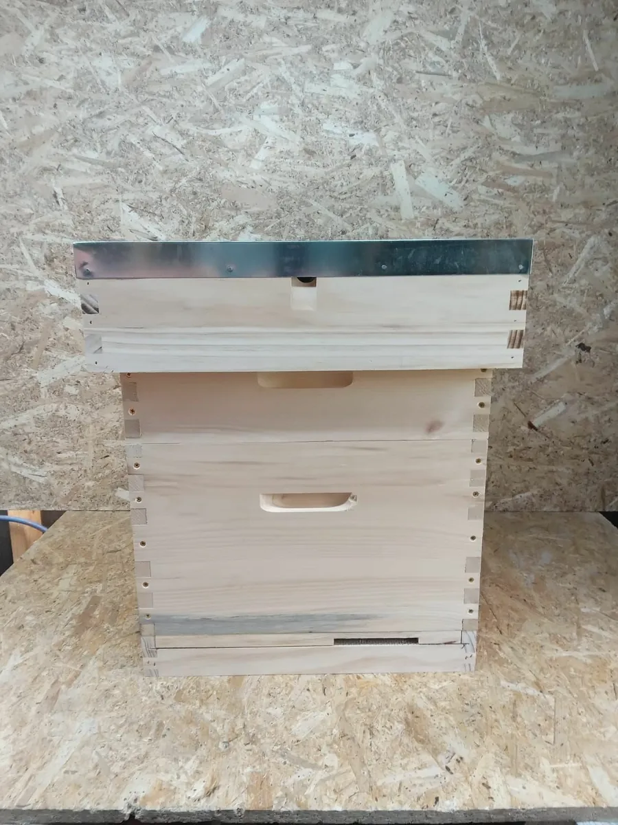 Bee Hives - 💥Nationwide Delivery💥 - Image 2