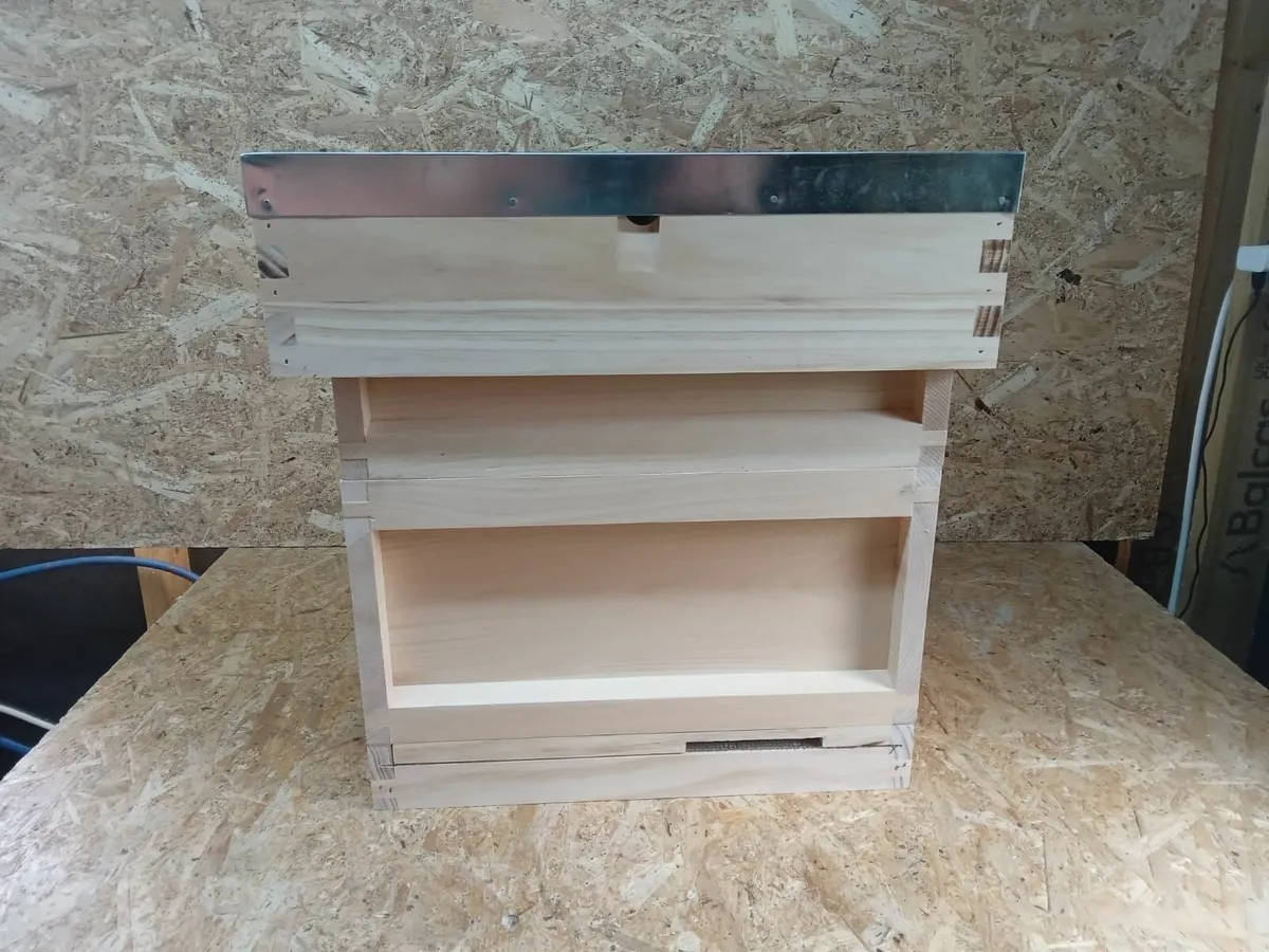 Bee Hives - 💥Nationwide Delivery💥 - Image 4