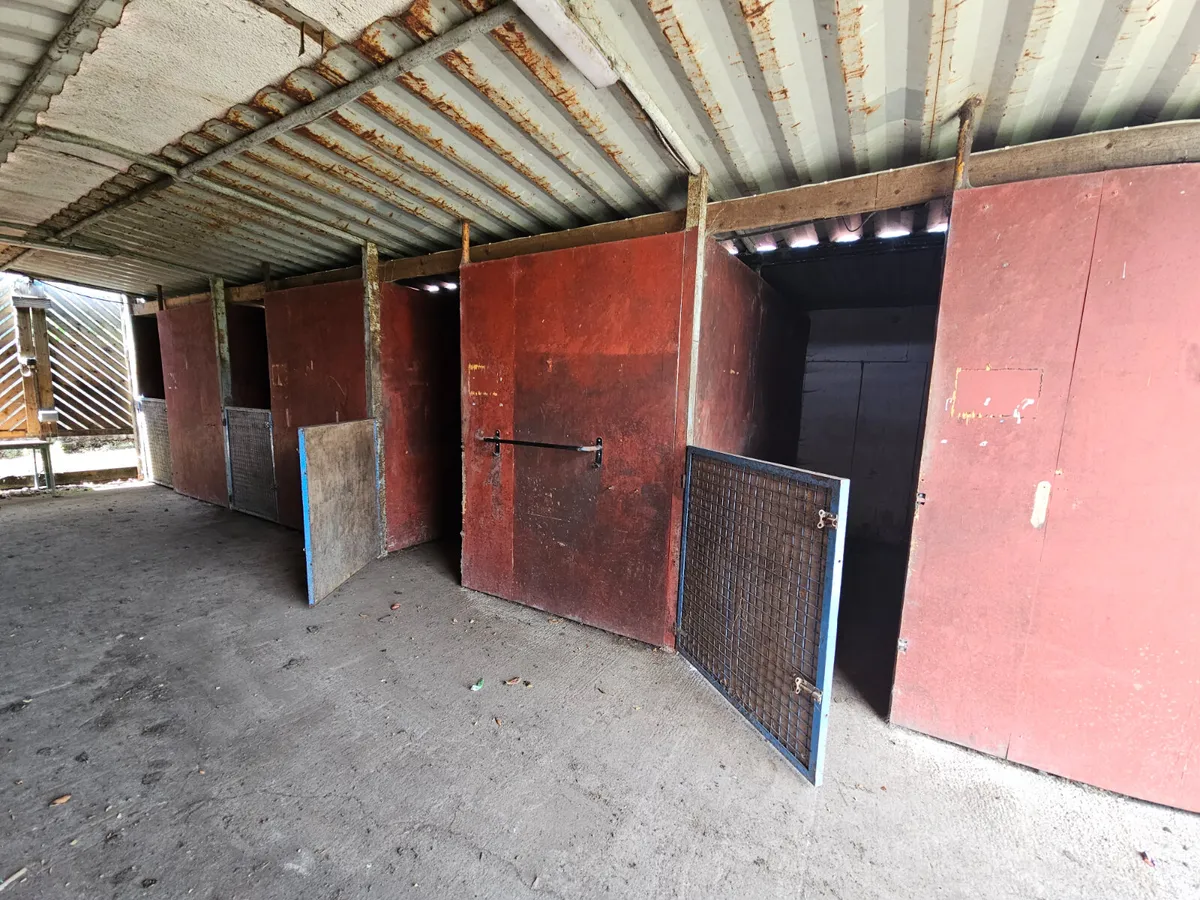 Large Container Shed Stables 40ft Storage - Image 4