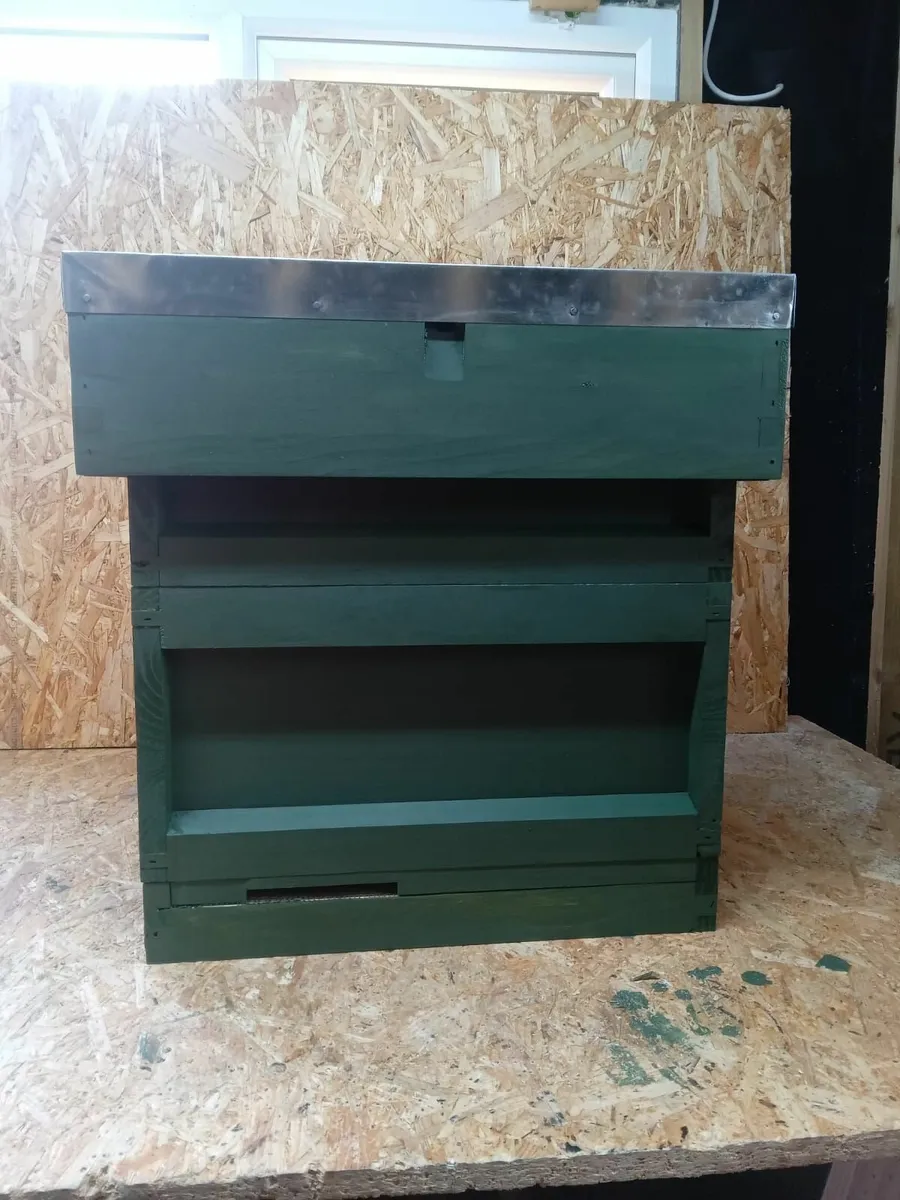 Bee Hives - 💥Nationwide Delivery💥 - Image 2