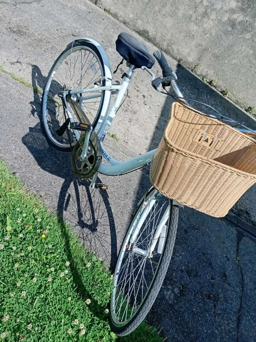 Adults bike - Image 3