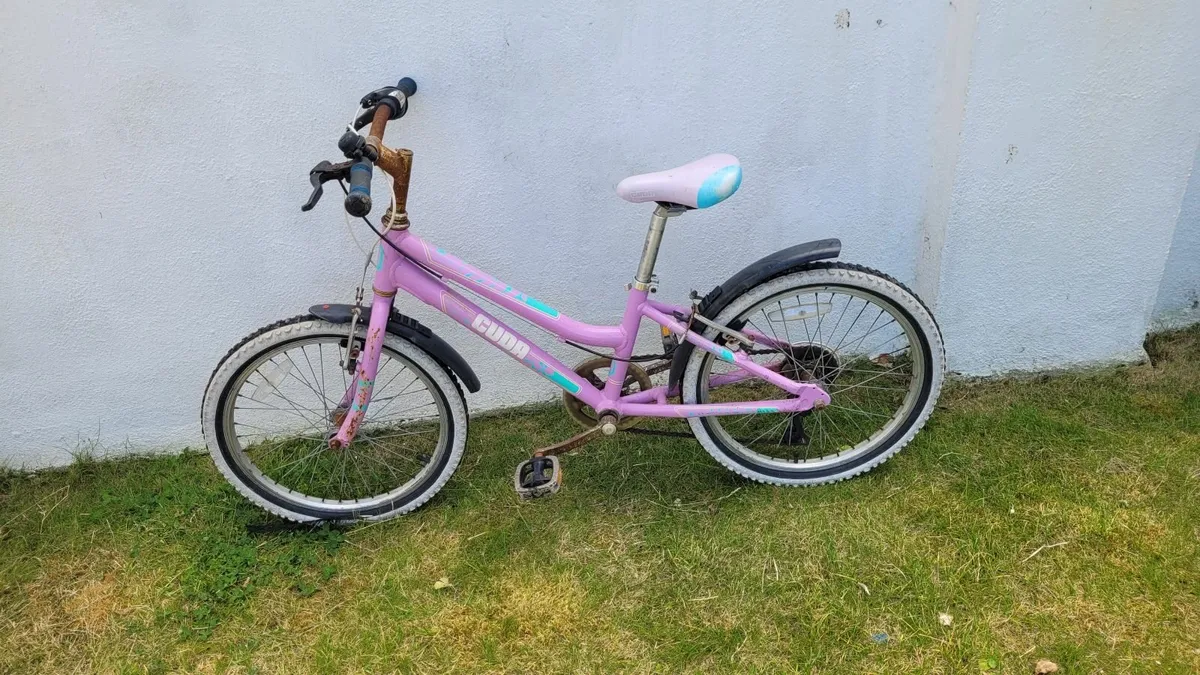 Bicycle - Image 1