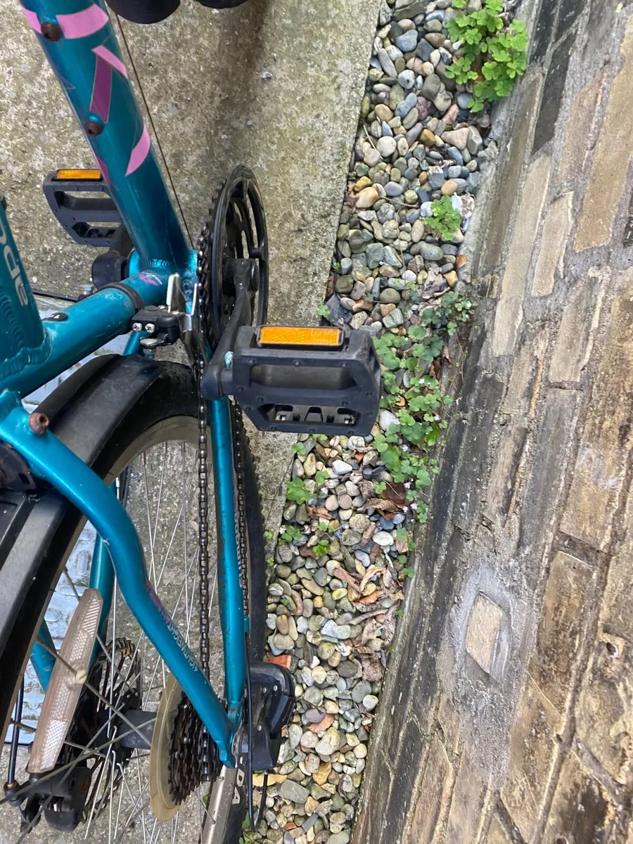 Mountain bike - Image 1