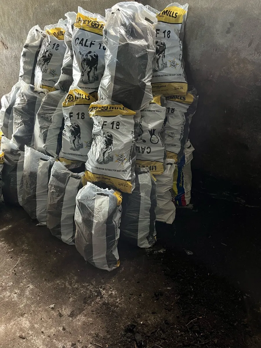 Bags of fuel - Image 1
