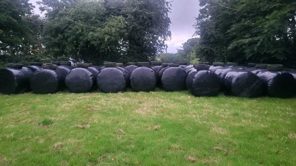Silage bales - Image 1