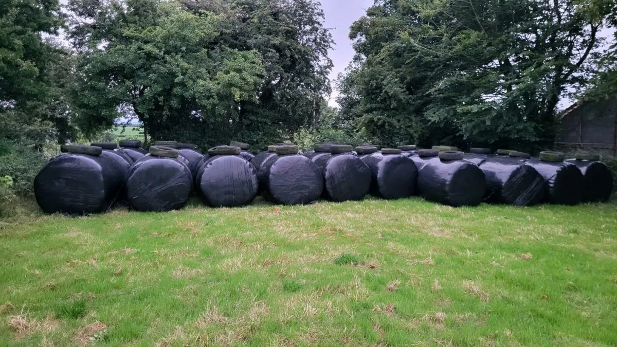 Silage bales - Image 2