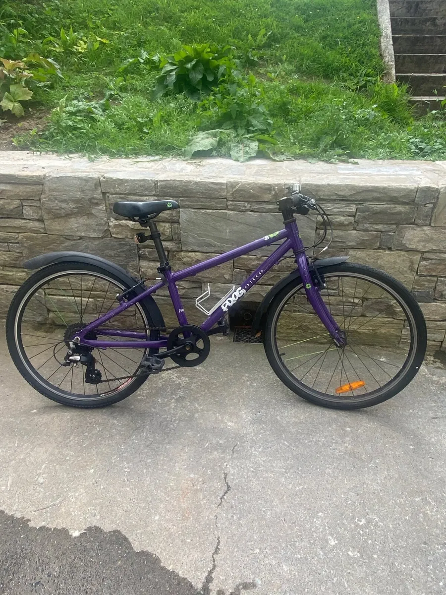 Two Frog bikes 62 - Image 2