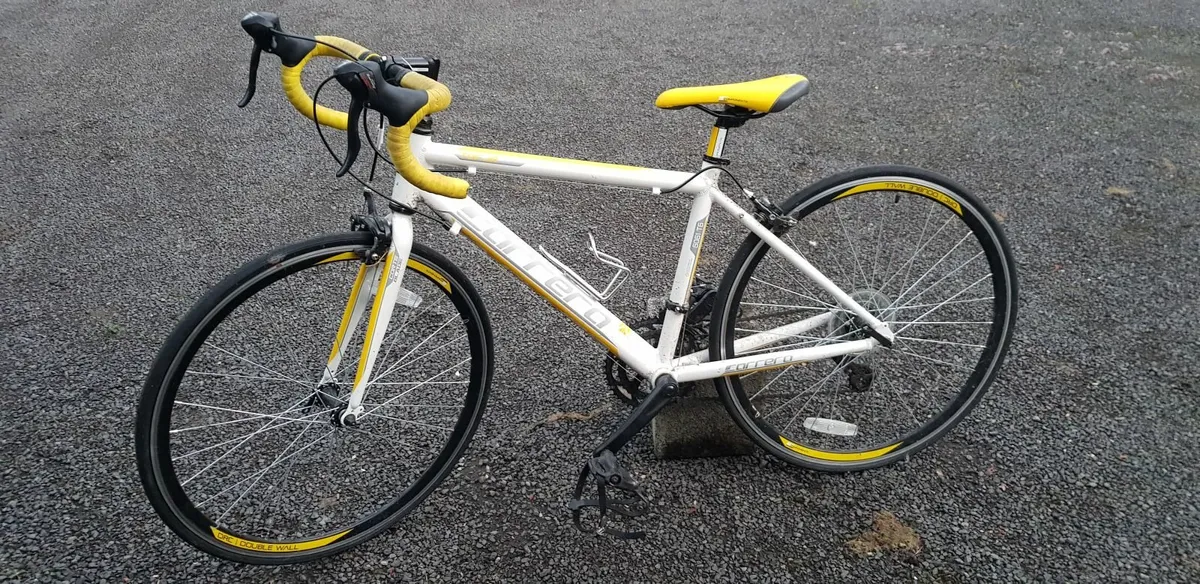 Young Adults Bicycle