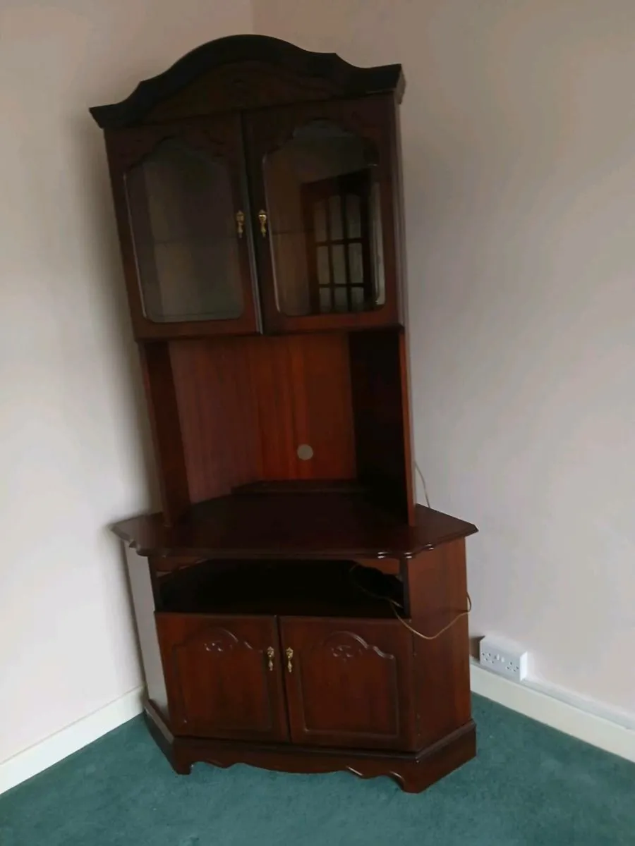 Television Unit