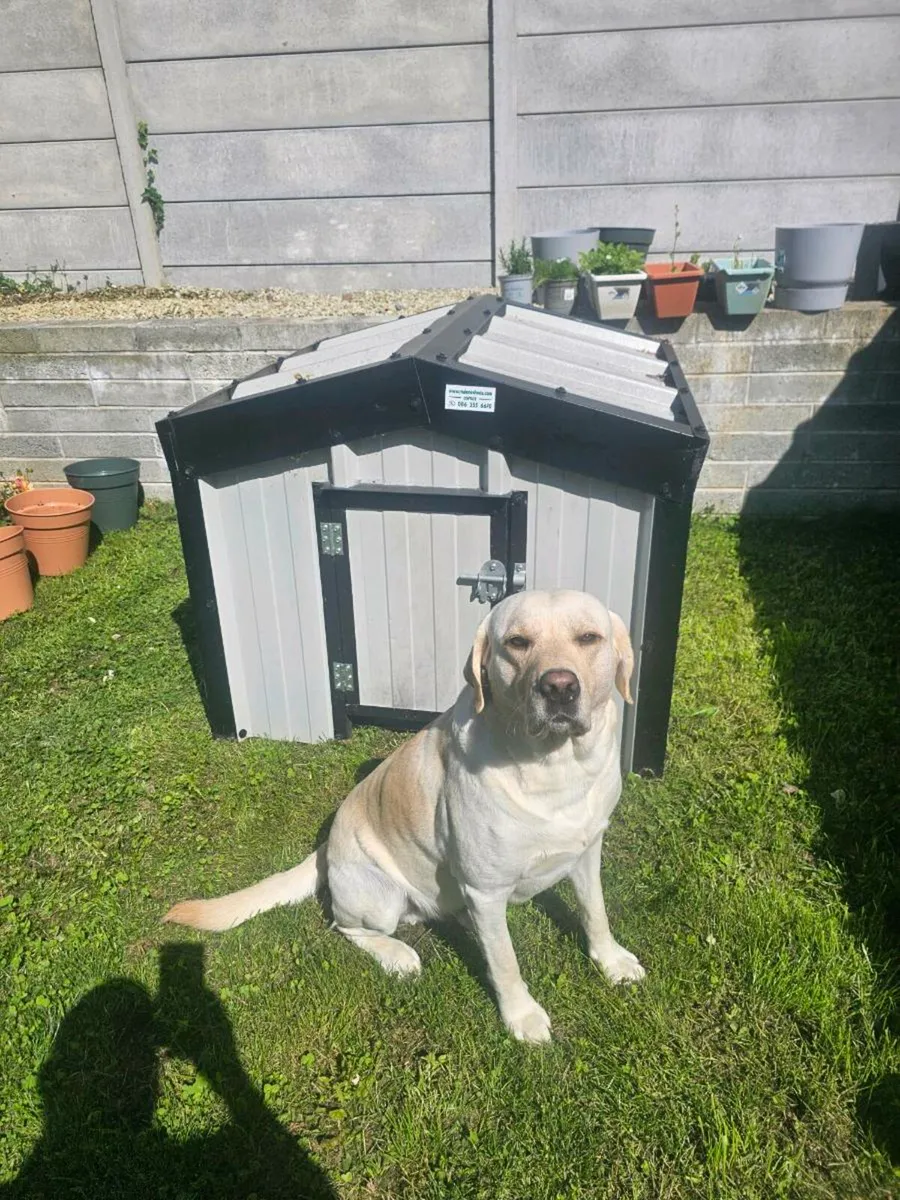 XL Dog Shed - Image 1