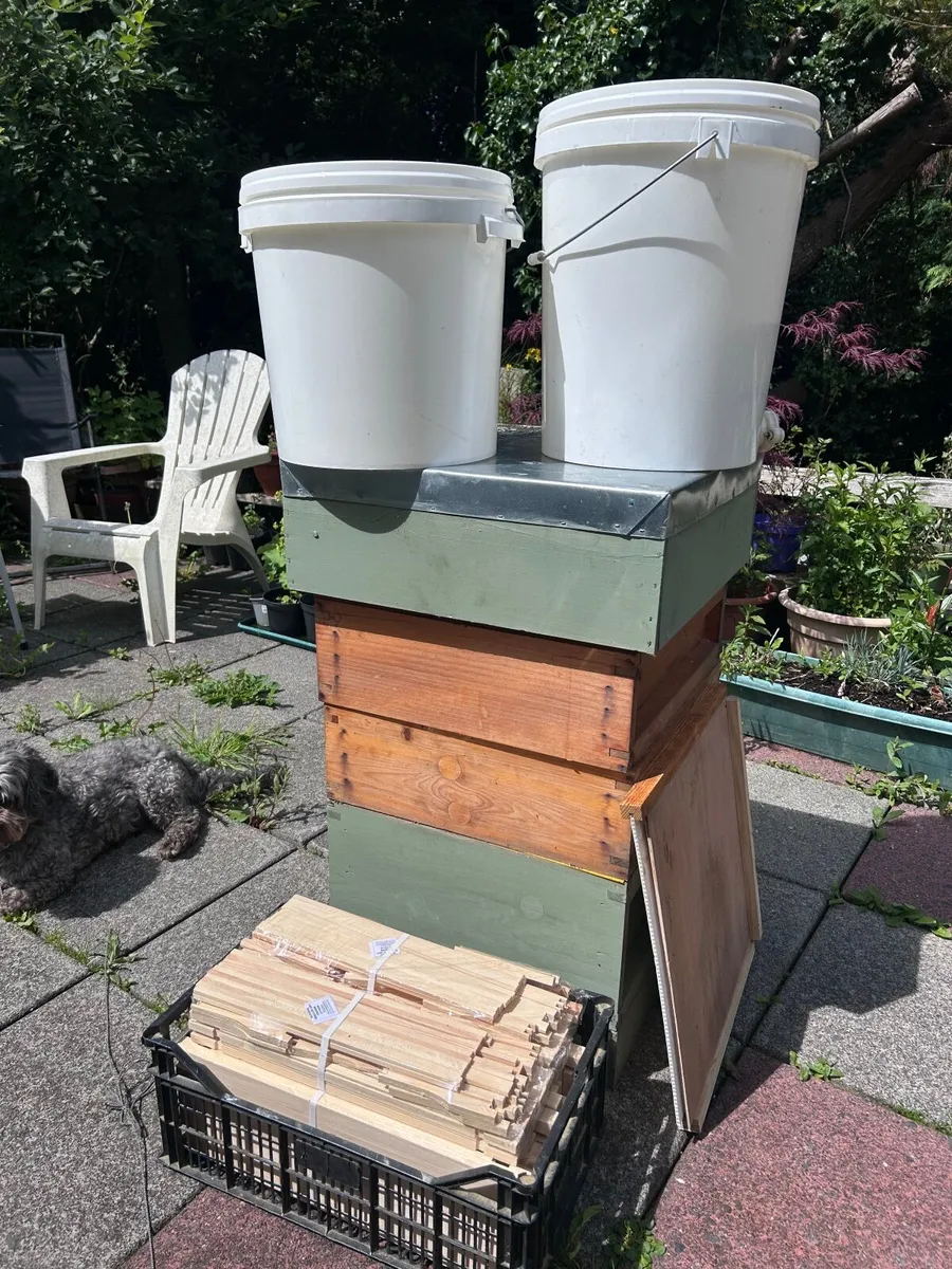 Complete Beekeeping Setup for Sale - Image 1