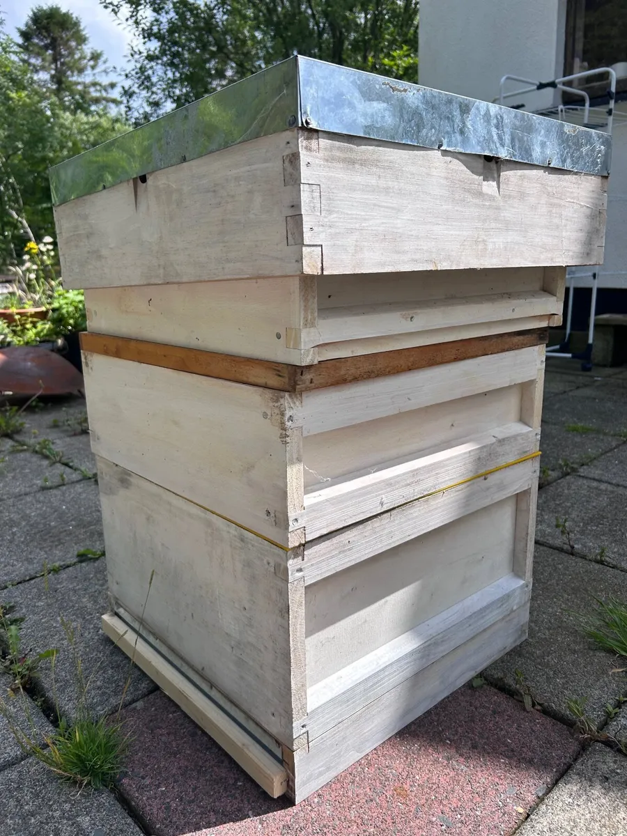 Complete Beekeeping Setup for Sale - Image 3