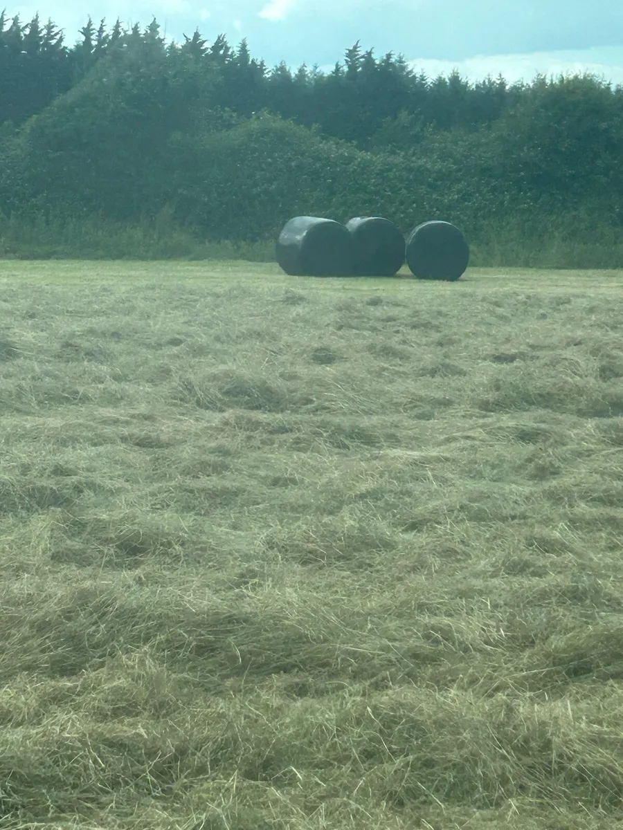 Haylage
