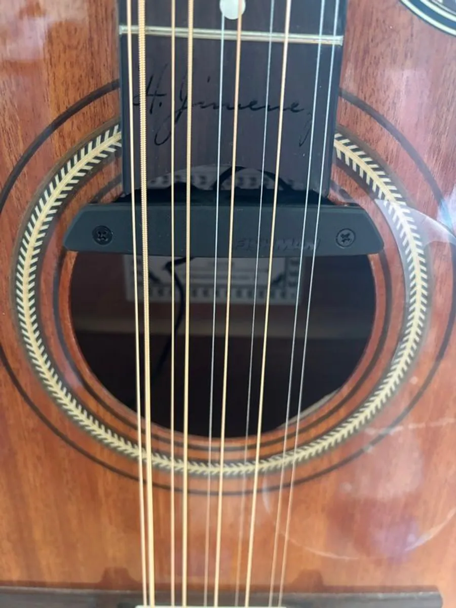 Quinto Bajo (Bouzouki tuning) with Fishman Pickup - Image 4