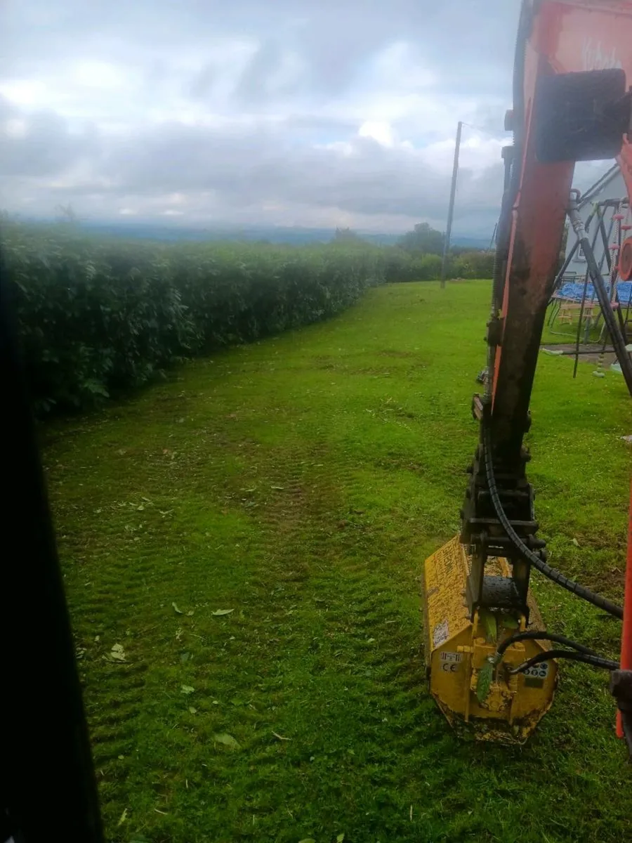 Digger With Mulcher Hire - Image 2