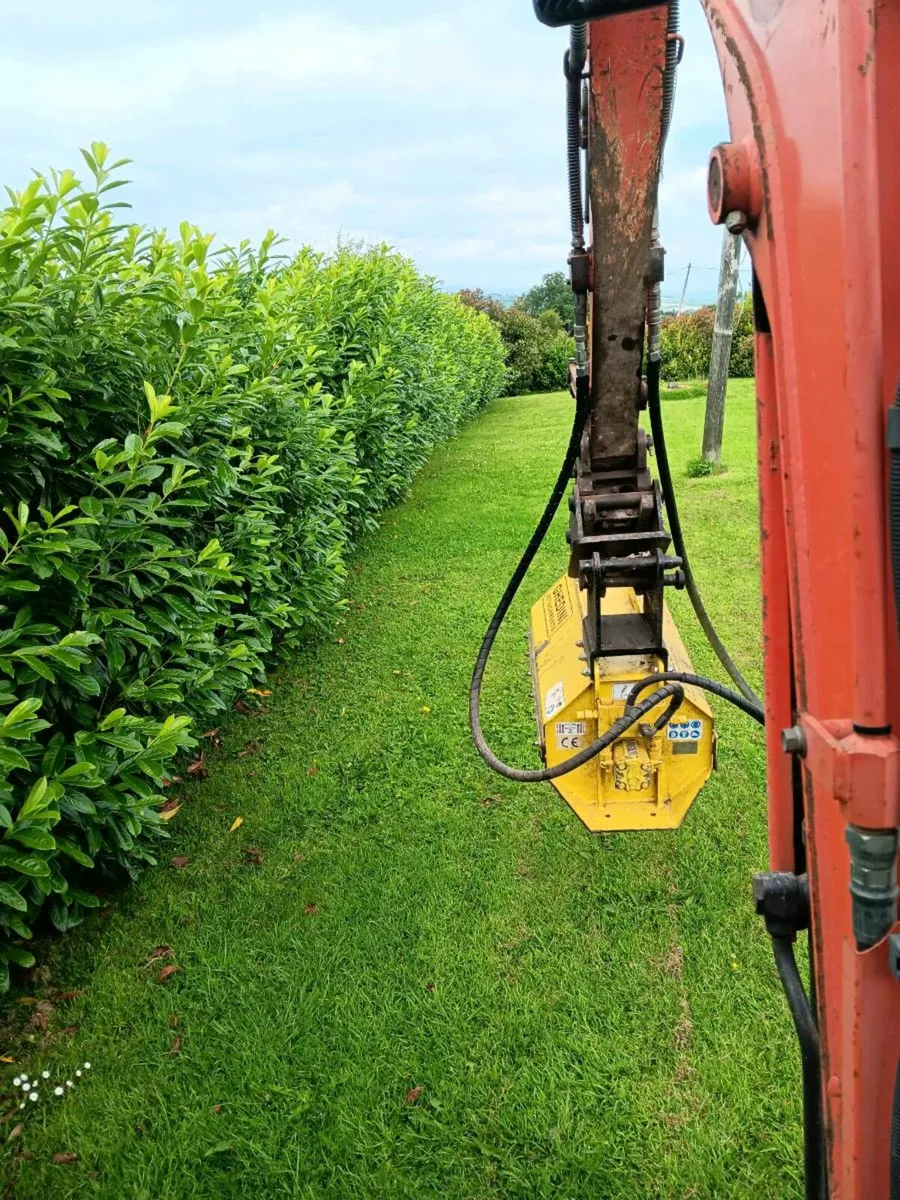Digger With Mulcher Hire - Image 3