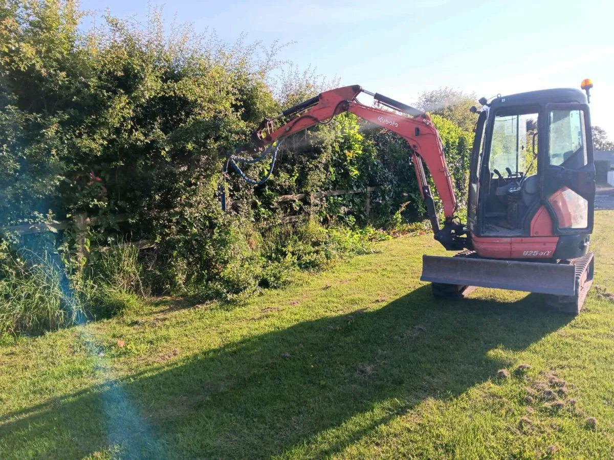 Digger With Mulcher Hire - Image 4