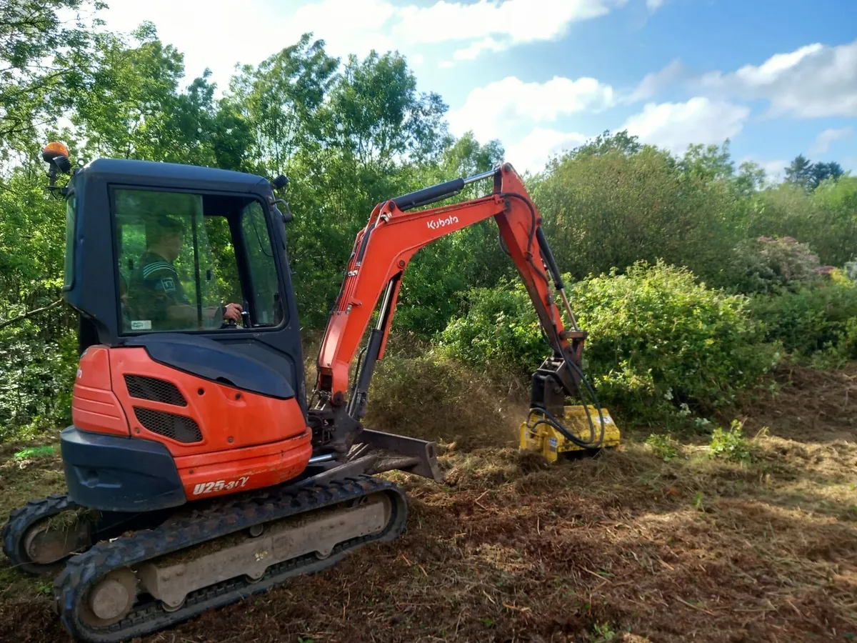 Digger With Mulcher Hire - Image 1