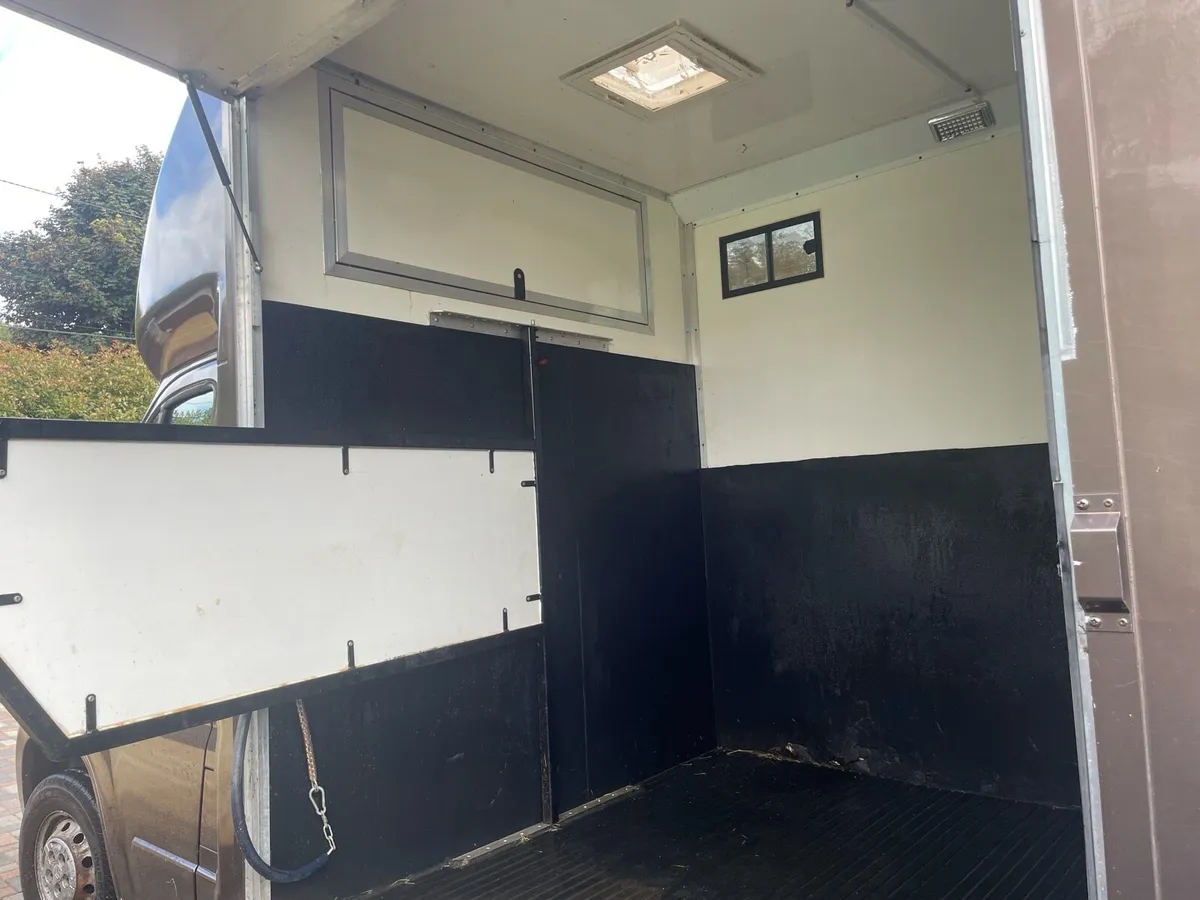 3.5 Citroen Relay horse lorry - Image 2