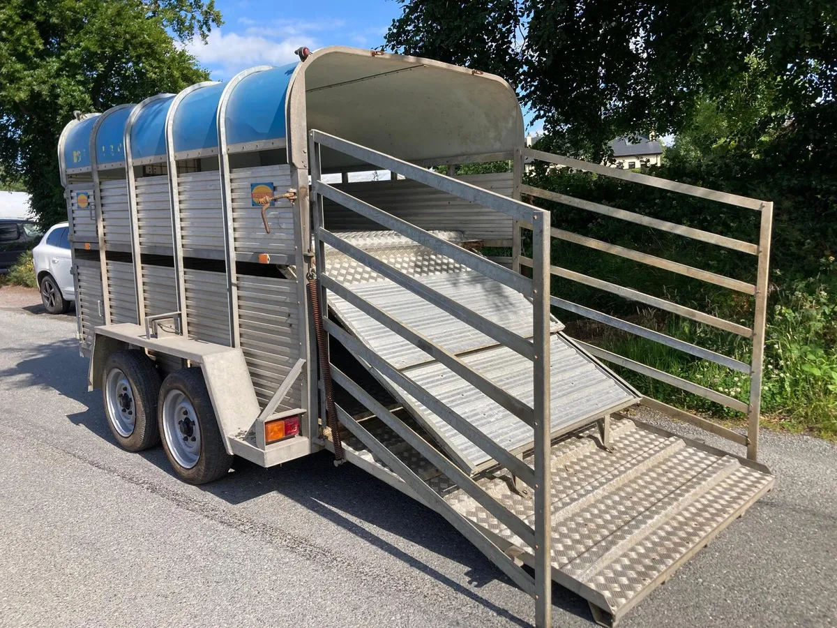Used Porter 10x5’9 Sheep Decks Trailer - Image 1