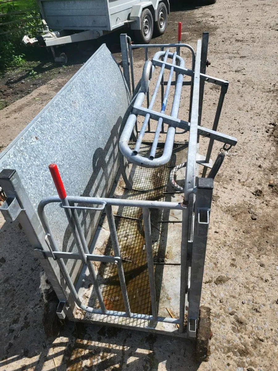 Sheep turnover crate - Image 3