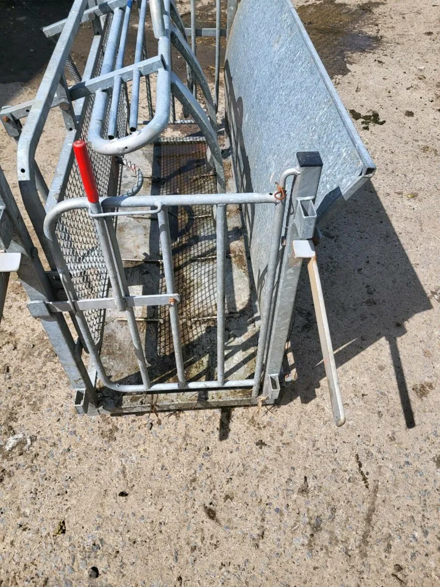 Sheep turnover crate - Image 4