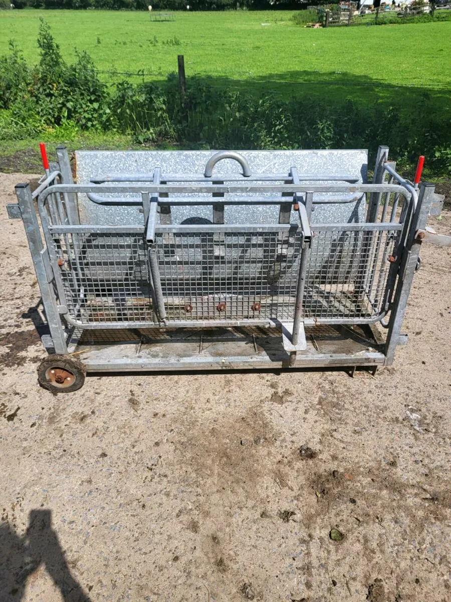Sheep turnover crate - Image 1