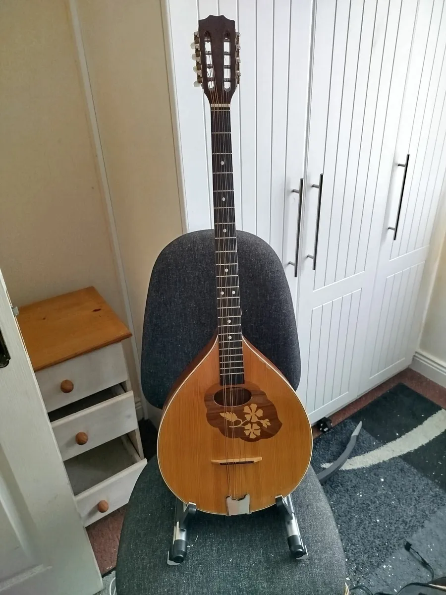 Irish Bouzouki Flat Back - Image 1